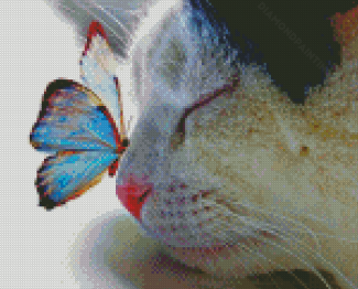 Aesthetic Cat With Butterfly On Nose Diamond Paintings