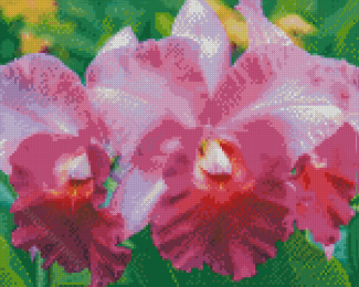 Aesthetic Cattleya Flower Diamond Paintings