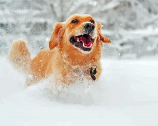 Aesthetic Dog In Snow Diamond Paintings
