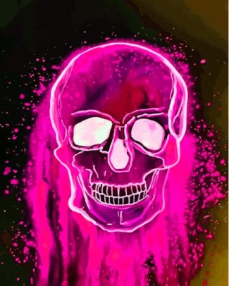 Aesthetic Pink Skull Diamond Paintings