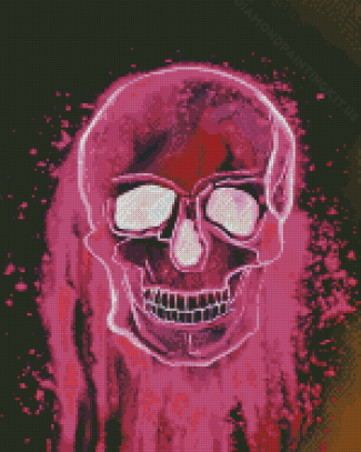 Aesthetic Pink Skull Diamond Paintings