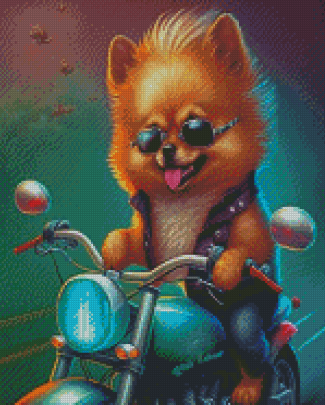 Cool Puppy Riding A Motorcycle Diamond Paintings
