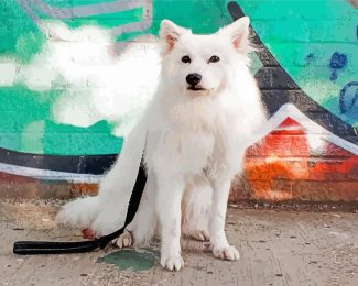 White Japanese Dog Diamond Paintings