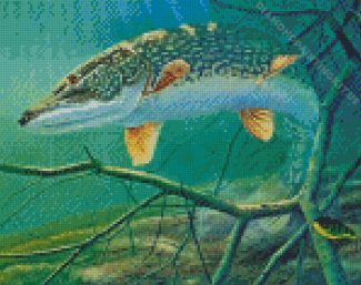 Aesthetic Northern Pike Fish Diamond Paintings