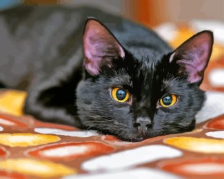 Cute Black Cat Diamond Paintings