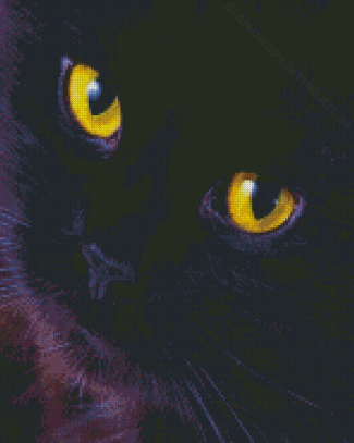 Cute Black Cat Eyes Diamond Paintings